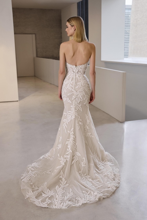 Robe de Mariée DEBIE Pronovias collection 2026 | Paris