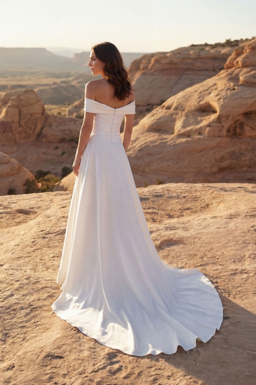 CHALLON Wedding Dress Pronovias collection 2027 | Boutique Paris